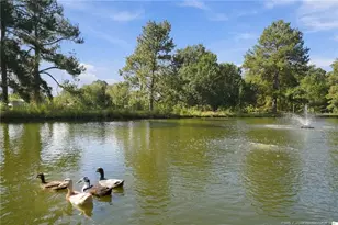 5199 Tobacco Rd, Orrum, NC 28369 - Photo 38