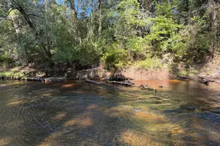 2388 Shady Grove Rd, Spring Lake, NC 28390 - Photo 42