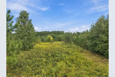 Green Street, Parkton, NC 28371 - Photo 6
