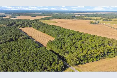 Tbd Emma Jane Road, Saint Pauls, NC 28384 - Photo 6