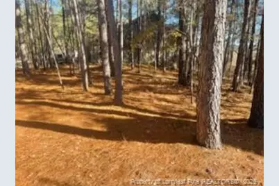 847 Seagull Drive, Vass, NC 28394 - Photo 1