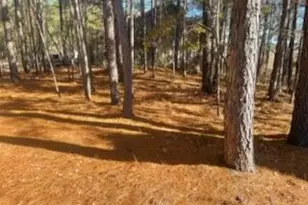 847 Sea Gull Dr, Vass, NC 28394 - Photo 1