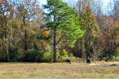 1870 McCormick Road, Sanford, NC 27332 - Photo 28