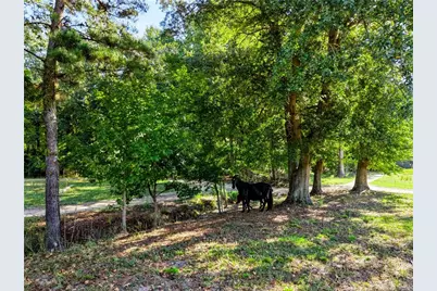 1870 McCormick Road, Sanford, NC 27332 - Photo 22