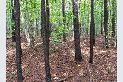 6700 Cass Holt Road, Holly Springs, NC 27540 - Photo 2