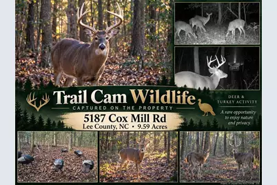 5187 Cox Mill Road, Sanford, NC 27332 - Photo 2