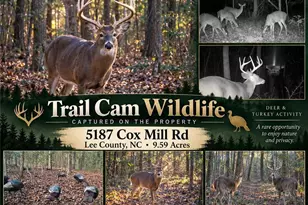 5187 Cox Mill Rd, Sanford, NC 27332 - Photo 2