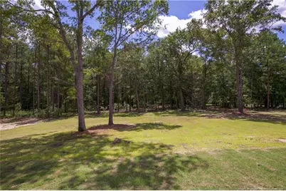 1021 Juniper Lake Road, West End, NC 27376 - Photo 38