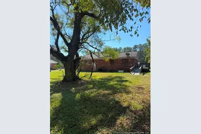 1596 McLean Chapel Church Road, Bunnlevel, NC 28323 - Photo 14
