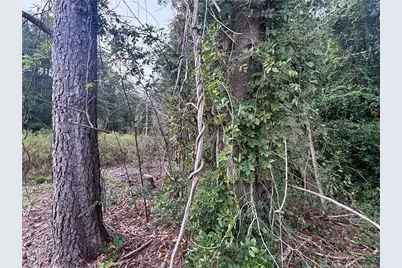 Pelt Drive, Fayetteville, NC 28301 - Photo 12