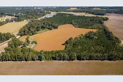 0 Carl Freeman Road, Stedman, NC 28391 - Photo 8