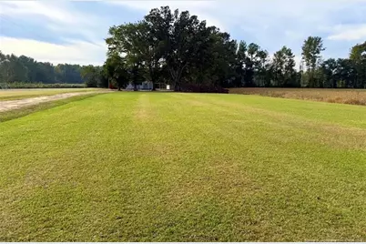 499 Bullard Pit Circle, Autryville, NC 28318 - Photo 2
