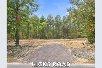 Lot 3 Capelsie Road, Candor, NC 27229 - Photo 2