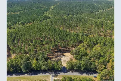 Lot 3 Capelsie Road, Candor, NC 27229 - Photo 6
