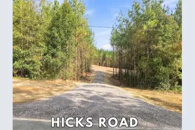 Lot 6 Capelsie Road, Candor, NC 27229 - Photo 2