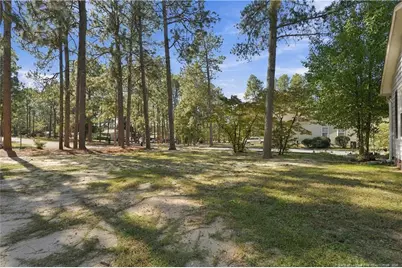 190 Firetree Lane, West End, NC 27376 - Photo 46