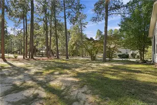 190 Firetree Ln, West End, NC 27376 - Photo 46