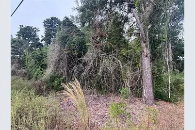 Pelt Drive, Fayetteville, NC 28301 - Photo 10