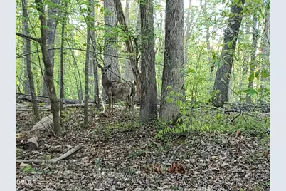 Lot 2 Deer Run Trail, Hillsborough, NC 27278 - Photo 1