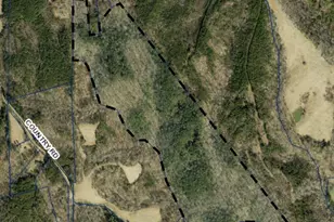 3911 U.S. Hwy 158 W, Yanceyville, NC 27379 - Photo 1
