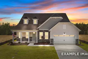 808 Diana Victoria Ct, Wendell, NC 27591 - Photo 1
