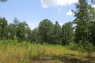 2200 Darroch Rd, Lillington, NC 27546 - Photo 1