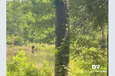 0 Bear Fork Road, Mobile, AL 36618 - Photo 2