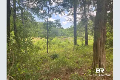 0 Bear Fork Road, Mobile, AL 36618 - Photo 6