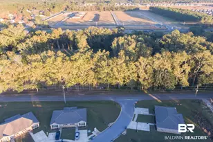 0 S Poplar St, Foley, AL 36535 - Photo 34