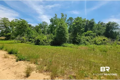 0 Back Forty Lane, Foley, AL 36535 - Photo 2