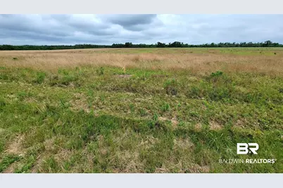 0 County Road 16, Foley, AL 36535 - Photo 4