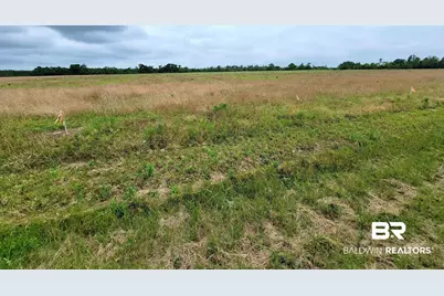 0 County Road 16, Foley, AL 36535 - Photo 2