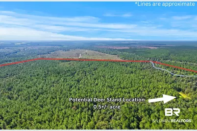 0 Nokomis Road, Walnut Hill, FL 32568 - Photo 10