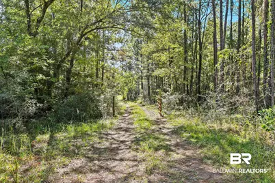 0 Nokomis Road, Walnut Hill, FL 32568 - Photo 2