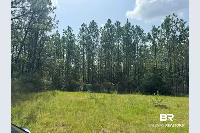 0 Nokomis Road, Walnut Hill, FL 32568 - Photo 16