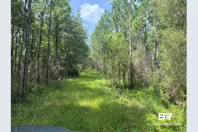 0 Nokomis Road, Walnut Hill, FL 32568 - Photo 28
