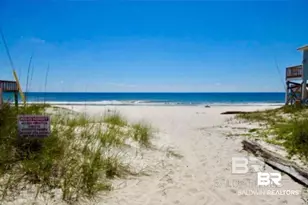 6925 Driftwood Dr, Gulf Shores, AL 36542 - Photo 58