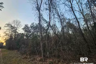 0 Lee Rd, Robertsdale, AL 36567 - Photo 1