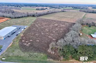 24440 Hwy 59, Robertsdale, AL 36567 - Photo 1