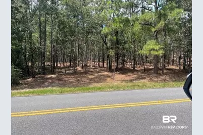 0 State Highway 225, Spanish Fort, AL 36527 - Photo 2