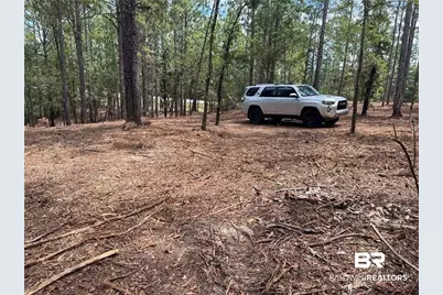 0 State Highway 225, Spanish Fort, AL 36527 - Photo 1