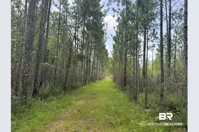 0 Nokomis Road, Walnut Hill, FL 32568 - Photo 32