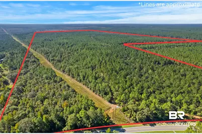 0 Nokomis Road, Walnut Hill, FL 32568 - Photo 1