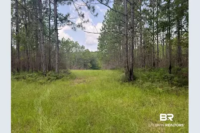 0 Nokomis Road, Walnut Hill, FL 32568 - Photo 30