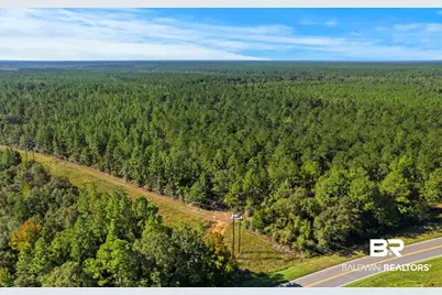 0 Nokomis Road, Walnut Hill, FL 32568 - Photo 48