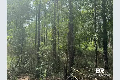 0 Nokomis Road, Walnut Hill, FL 32568 - Photo 26