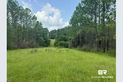 0 Nokomis Road, Walnut Hill, FL 32568 - Photo 6