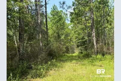 0 Nokomis Road, Walnut Hill, FL 32568 - Photo 36
