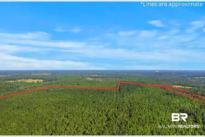 0 Nokomis Road, Walnut Hill, FL 32568 - Photo 40