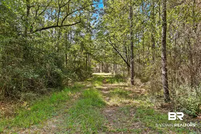 0 Nokomis Road, Walnut Hill, FL 32568 - Photo 24